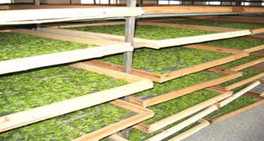 倉庫除濕機(jī)安裝應(yīng)注意的問題